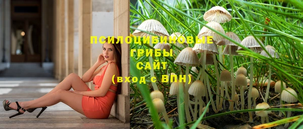 ALPHA PVP Нефтегорск