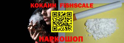 амф Сланцы