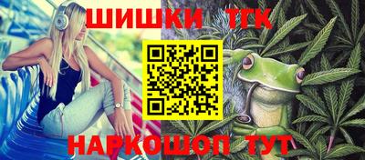 амф Сланцы