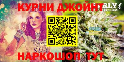 крисы Севастополь