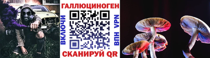 блэк спрут зеркало  Прохладный  Галлюциногенные грибы мухоморы 