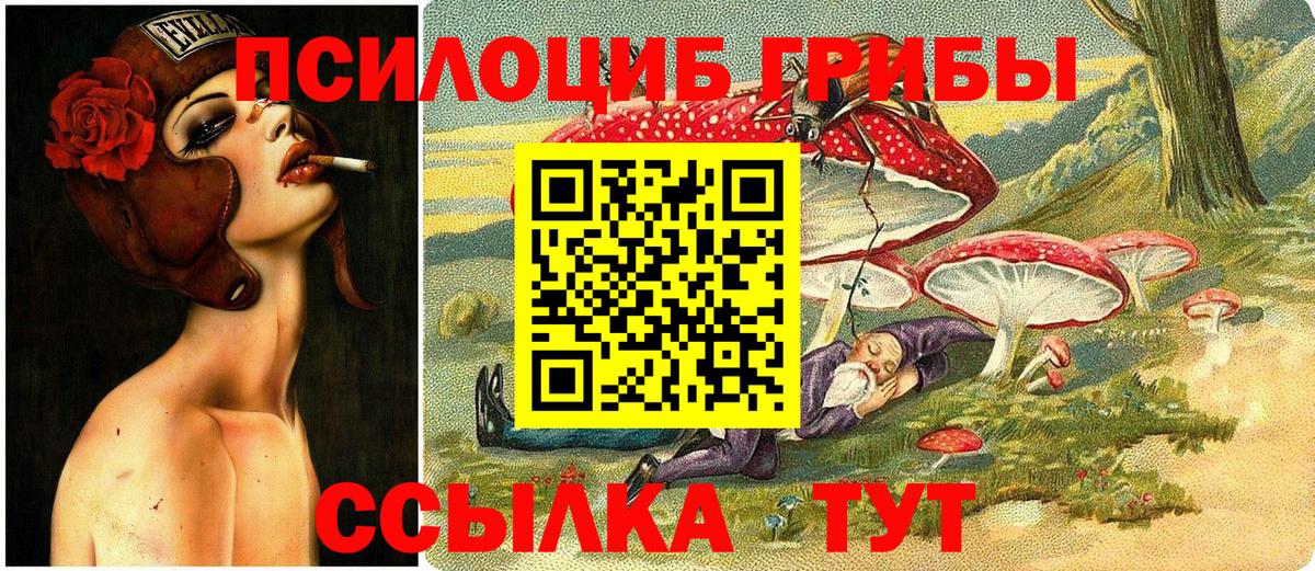 Прохладный  Псилоцибиновые грибы Magic Shrooms  Вход с VPN 