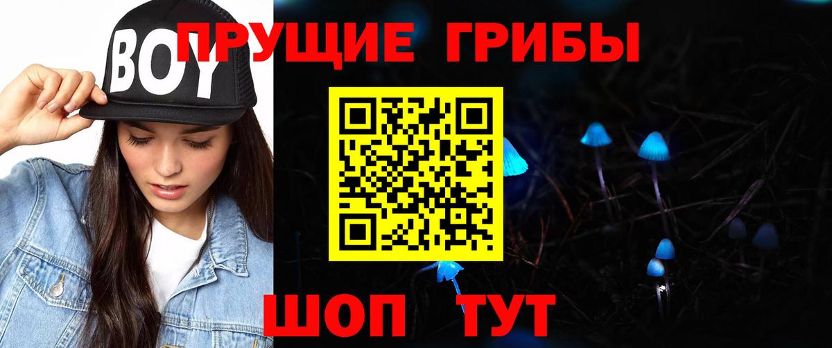 Псилоцибиновые грибы Psilocybine cubensis Прохладный